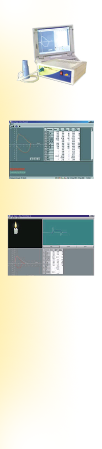 Pulmonary Function Test